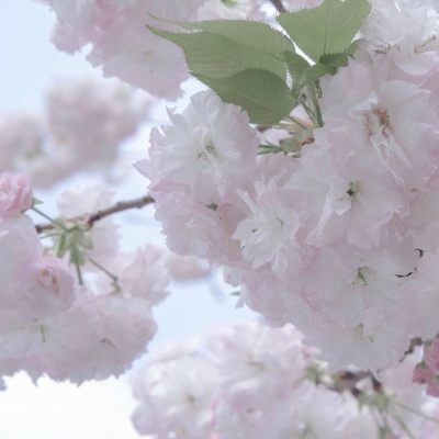 牟平福瑞交流群